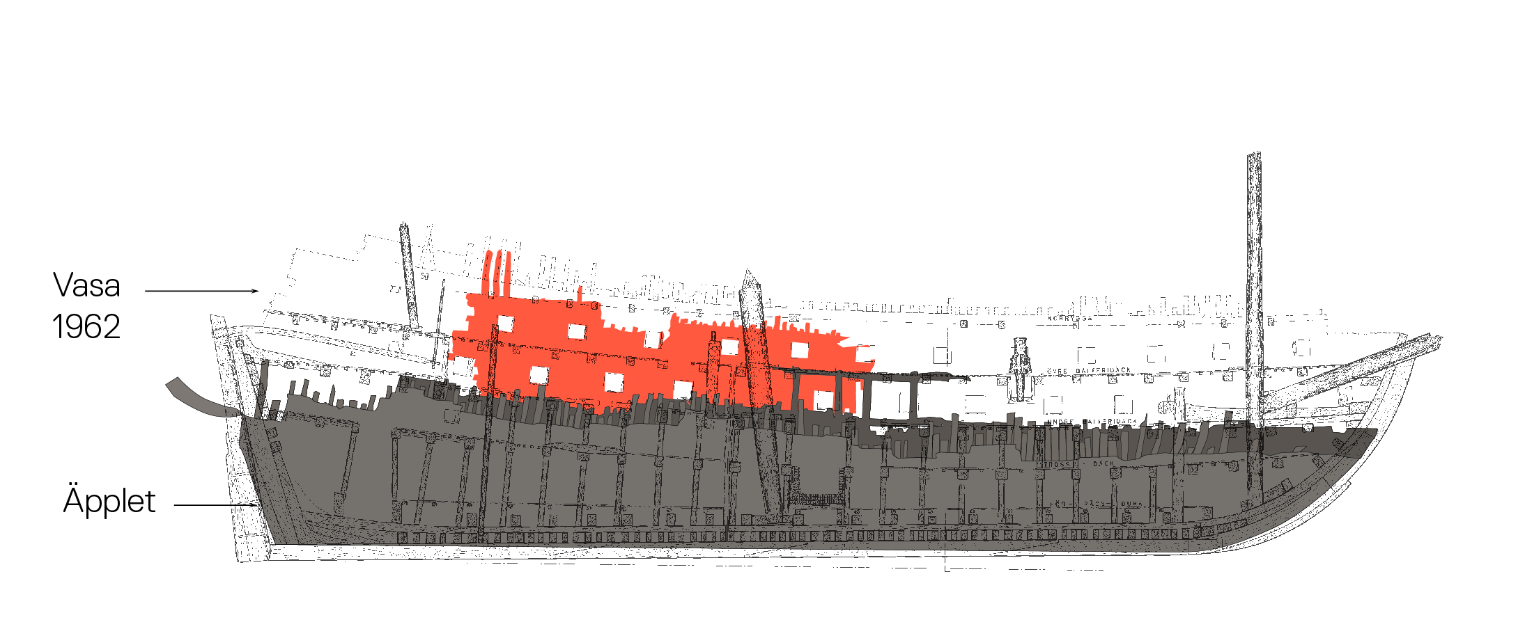 Jämförelse/Comparison: Vasa 1962, Äpplet 2022.