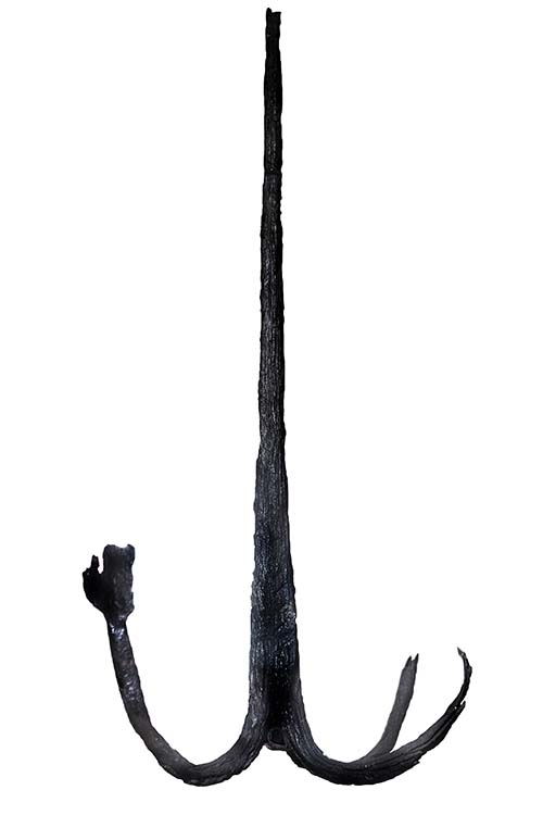 Änterdragg-2.jpg