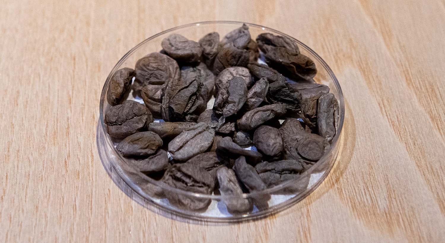 kaffebönor.jpg
